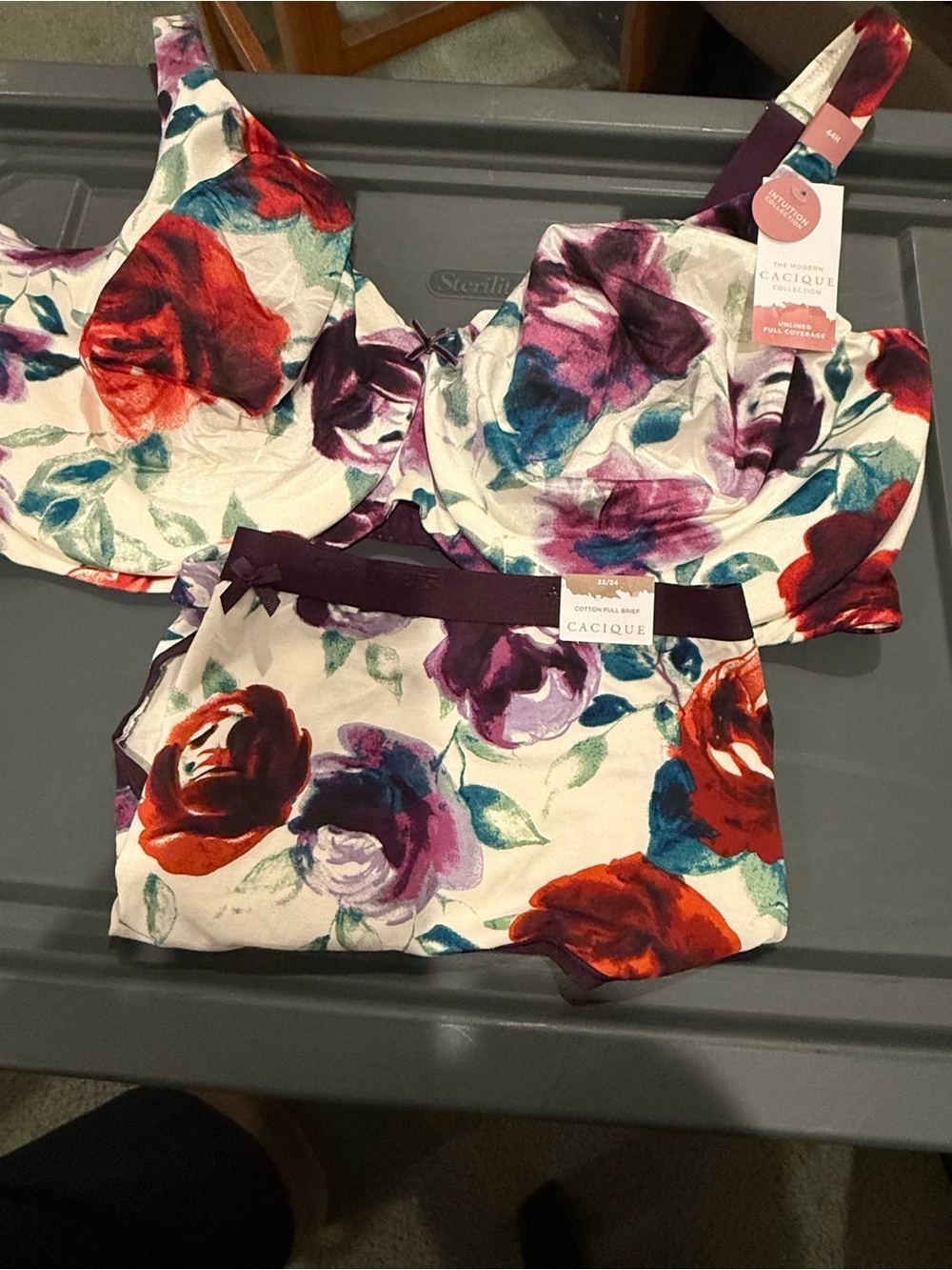 NWT Cacique Unlined Full Coverage Floral Bra & Brief Set
